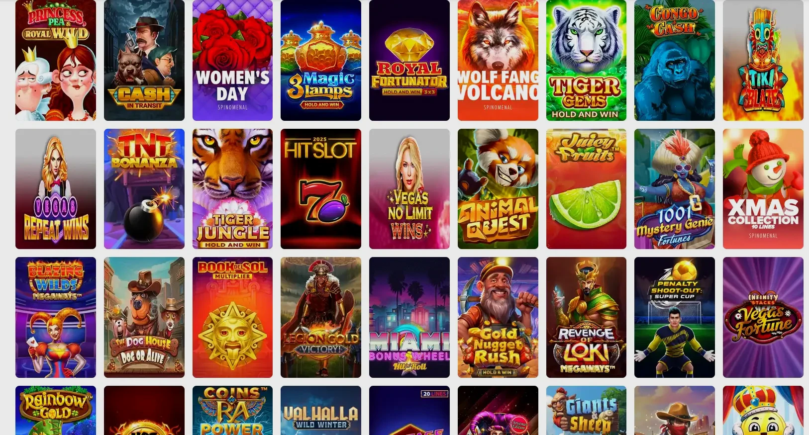 Privacybeleid en gegevensbescherming bij Mr Punter online casino